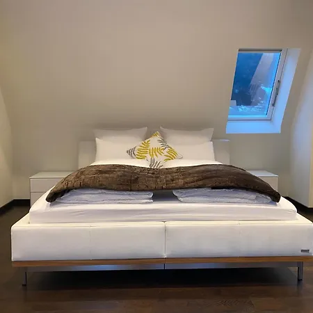 Loft Im Turm Apartament Maishofen